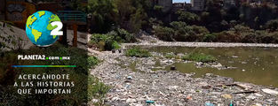 Presas de ciudad de México altamente contaminadas: presa Becerra con peor índice