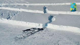 Calentamiento global podría fracturar el 60 por ciento de las plataformas de hielo de la Antártida