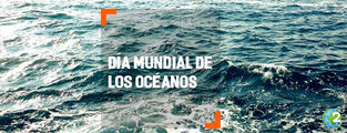 Día Mundial de los Océanos: nuestro océanos, nuestro futuro