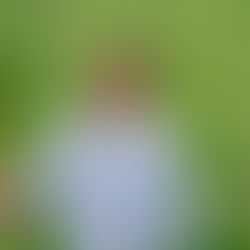 VITALA: el sistema de maíz híbrido de tecnología mexicana que revolucionará el cultivo del maíz