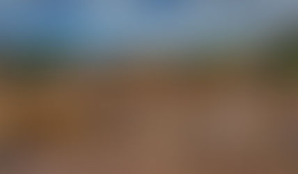 Semarnat y la radiografía forestal de México: datos, realidad y decisiones incómodas