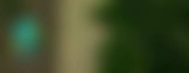 La selva amazónica es nuestra no suya: Brasil
