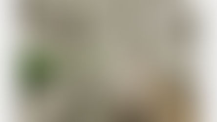 Greenphyto, la gran promesa vertical: cuando la agricultura toca el techo