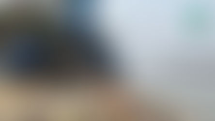 Oceana solicita al Senado legislar para reducir la contaminación plástica y evitar mares de plástico