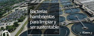 Bacterias para el tratamiento de las aguas residuales sustentable