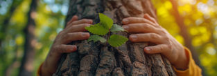 Día Mundial del Medio Ambiente 2025: México “apuesta” por la sostenibilidad (otra vez)