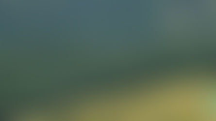 Jacinda Ardern: la revolución verde de Nueva Zelanda