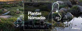 Gilberto Esparza: la mente detrás de las 'plantas nómadas'