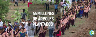 India plantó 66 millones de árboles en tan sólo 12 horas