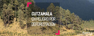 El Sistema Cutzamala en riesgo por deforestación