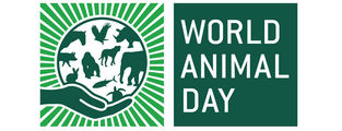 Día mundial del animal: celebremos respetando y fomentado la vida