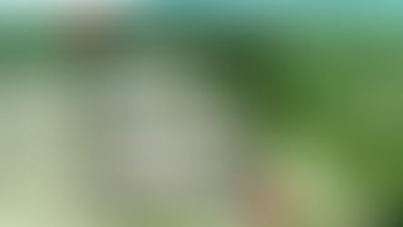 Brasil reduce su reserva amazónica para autorizar minería