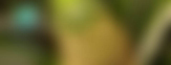 Piñas que promueven la igualdad de género y protegen el medio ambiente