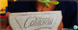 Hoteles, bares y restaurantes en Playa del Carmen se unen para reciclar colillas y crear macetas