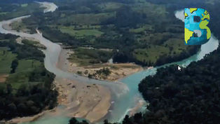 Cuenca del Usumacinta, la región con mayor diversidad de México, muestra deterioro: Julia Carabias