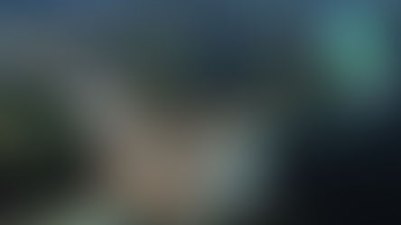 Cuenca del Usumacinta, la región con mayor diversidad de México, muestra deterioro: Julia Carabias