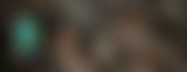 Criar pulpo como 'ganado' incurre en riesgos ambientales y éticos