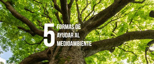 5 acciones para ayudar a nuestro planeta