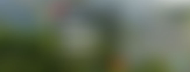 Tribunal de Brasil suspende decreto de minería comercial en reserva del Amazonas