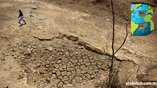 En 50 años, entre 2 y 3.5 mil millones de personas vivirán con temperaturas extremadamente altas