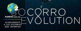 Socorro Evolution, el documental del Archipiélago Revillagigedo que no te quieres perder