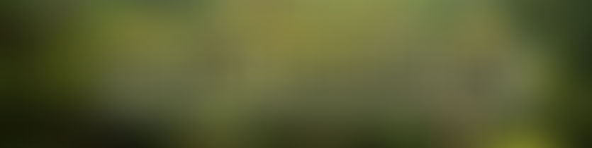 Selvas tropicales: ¿la cura para el calentamiento global?