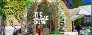 'Domo de Algas' absorbe la energía del sol y el CO2 para producir alimentos y oxígeno