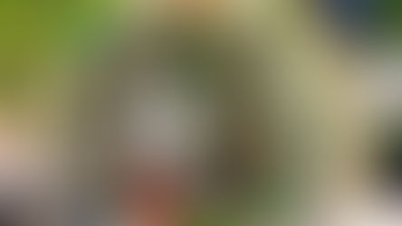 'Domo de Algas' absorbe la energía del sol y el CO2 para producir alimentos y oxígeno