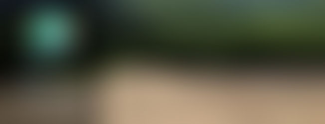 Para el 2030 habrá desaparecido el 27 por ciento de la selva amazónica