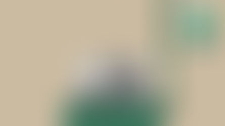 Basura electrónica en su máximo nivel: 53.6 millones de toneladas, el equivalente a 350 cruceros