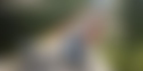 Daños ambientales del Tren Maya: revelados… pero ocultos