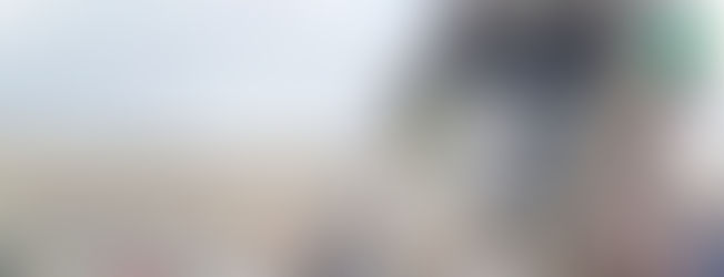 IP va por termovalorizadora en Estado de México