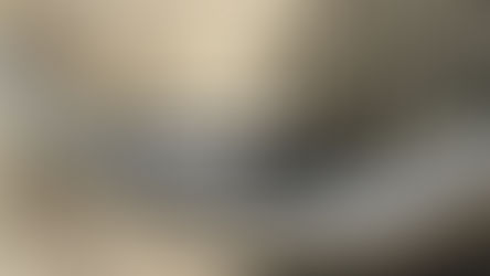 China prohibirá el comercio legal de marfil