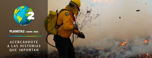 Incendio daña 135 hectáreas de Reserva de la Biósfera el Triunfo en Chiapas