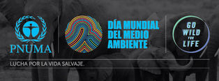 Se acerca el día mundial del medio ambiente