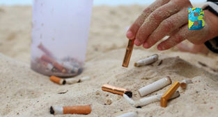 Diputados presentan iniciativa que prohíbe la venta y consumo de tabaco en playas y áreas naturales