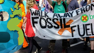 BP planea perforar en busca de gas cerca del arrecife de coral de agua fría más grande del mundo