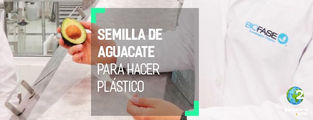 Mexicano desarrolla un polímero con la semilla del aguacate