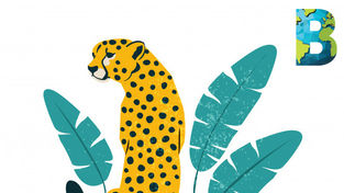 México tiene 2,587 especies en peligro de extinción y/o en riesgo