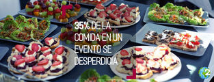 Robin Food, la iniciativa que recupera comida desperdiciada