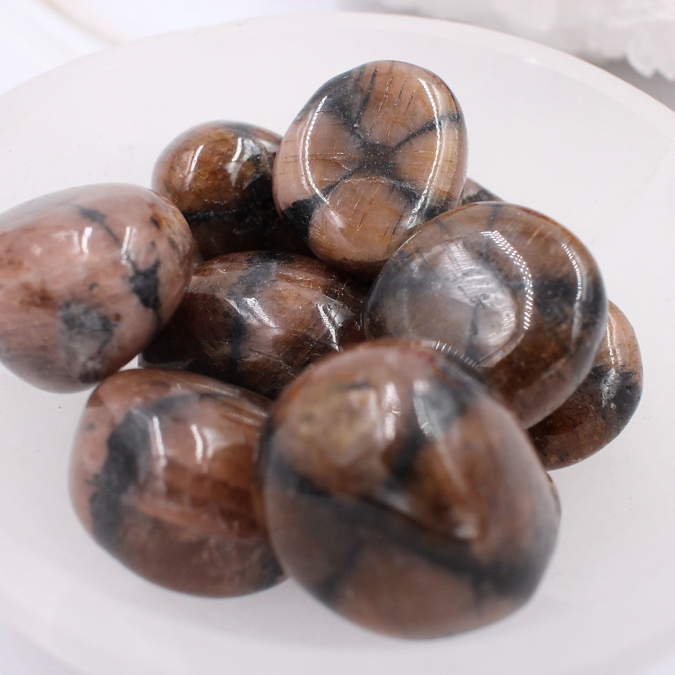 Miniature : Chiastolite roulée