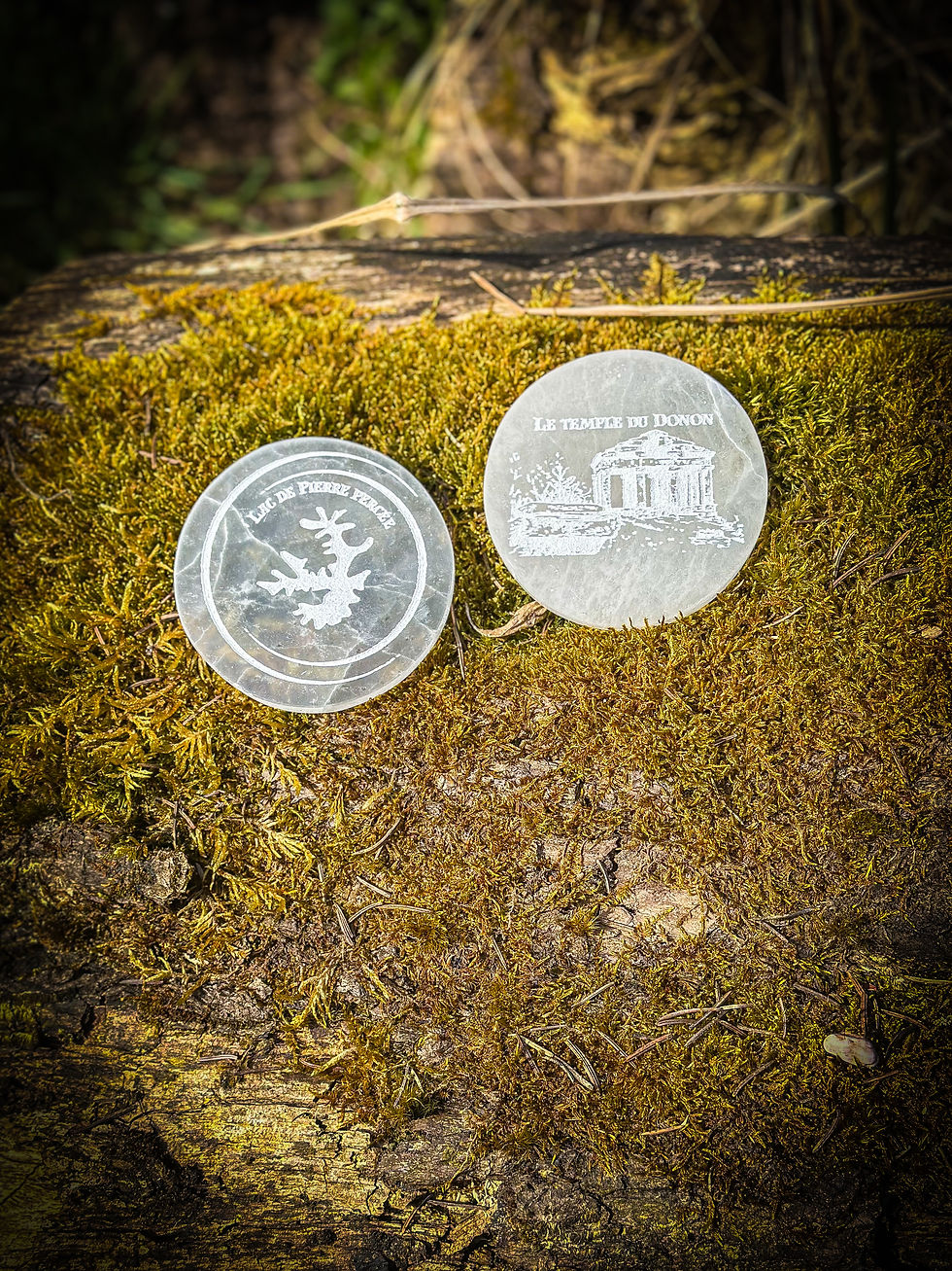 Miniature : Disque Sélénite Temple du Donon