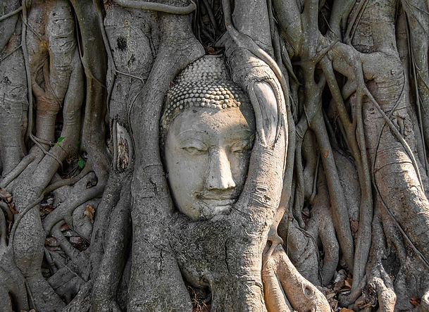 buddha-5158650_1280.jpg