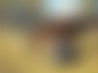 OSTEOPATIA E CRANIOSACRALE PER ANIMALI