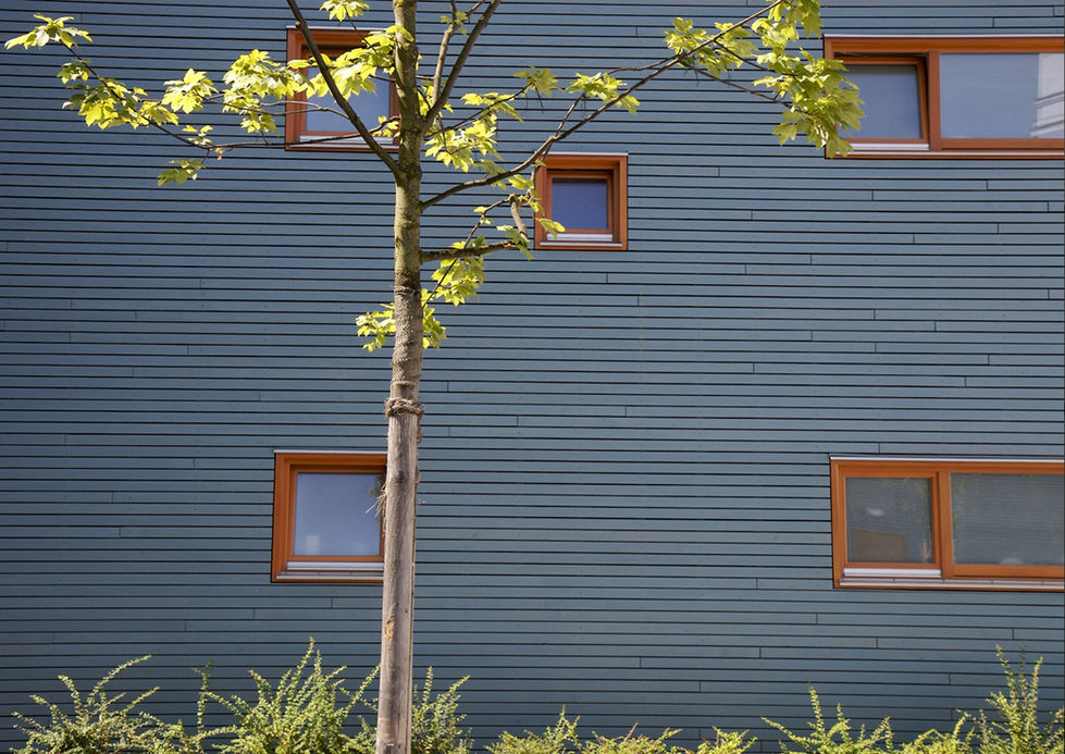 moderne Aussenfassade Grundschule München