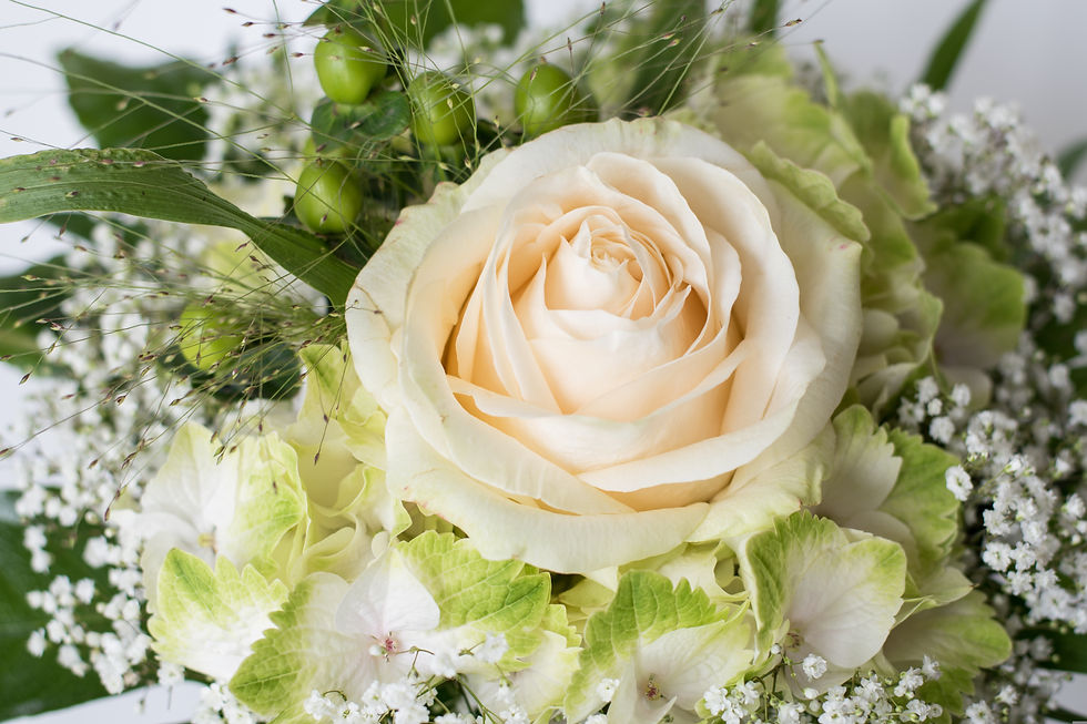 NWA COURTHOUSE WEDDING