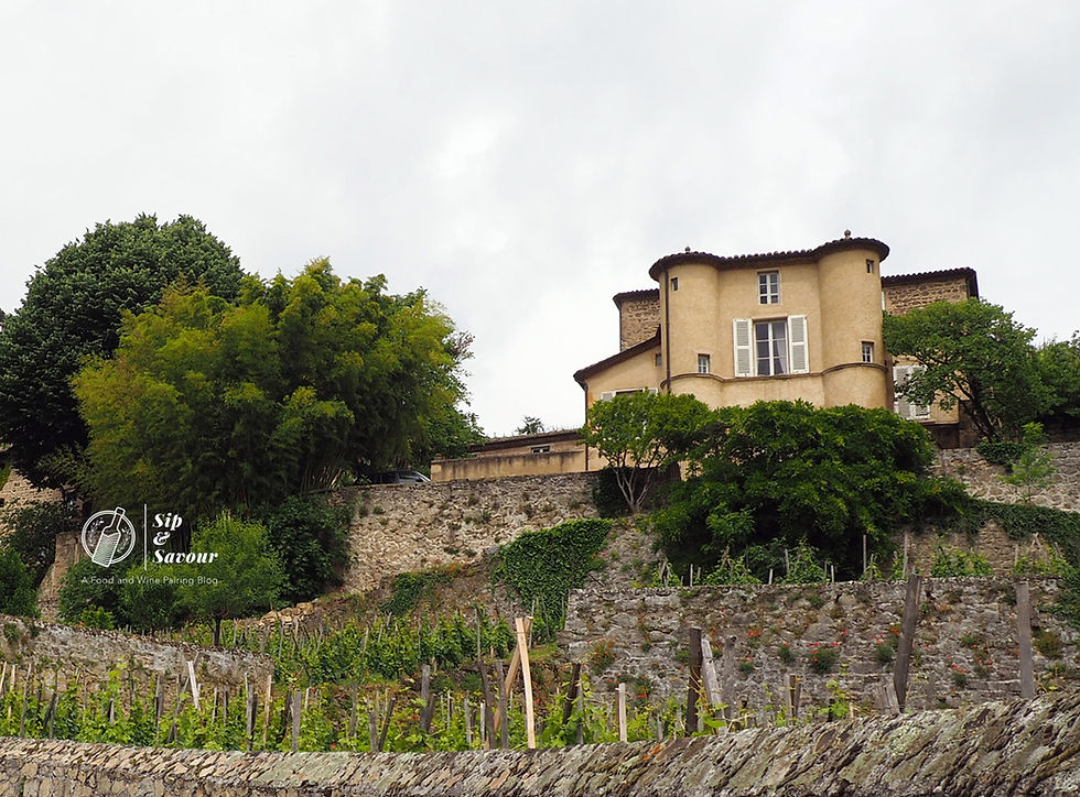Château-Grillet: The Tiny Rhône Gem You Can Almost Never Taste