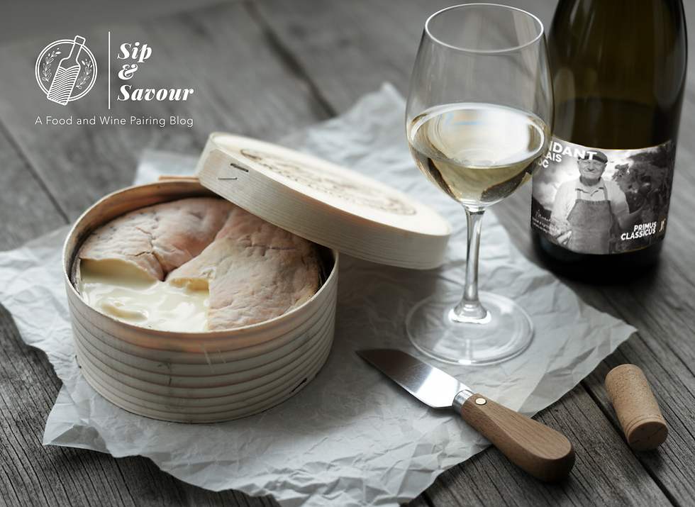 Vacherin Mont-d’Or Season Swiss Cheese and Its Perfect Wine Pairings