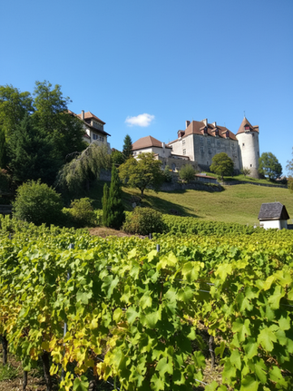 Credit: sipandsavour.blog