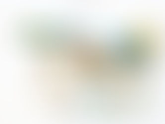 Creating Bilingual Wedding Invitations to Celebrate Love in Every Language